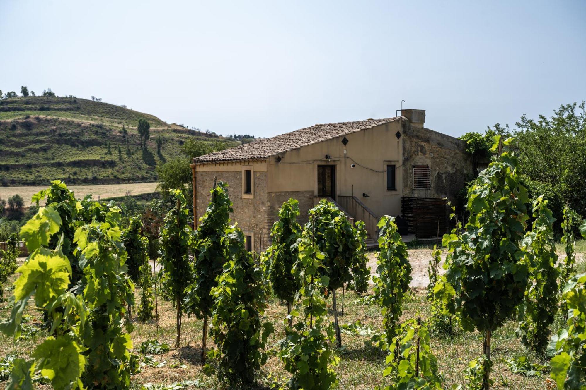 Cottage Immerso Nel Vigneto Caltagirone Bagian luar foto